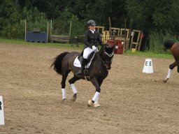 IMG_1583_web